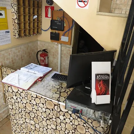 Guest house Nou Raval